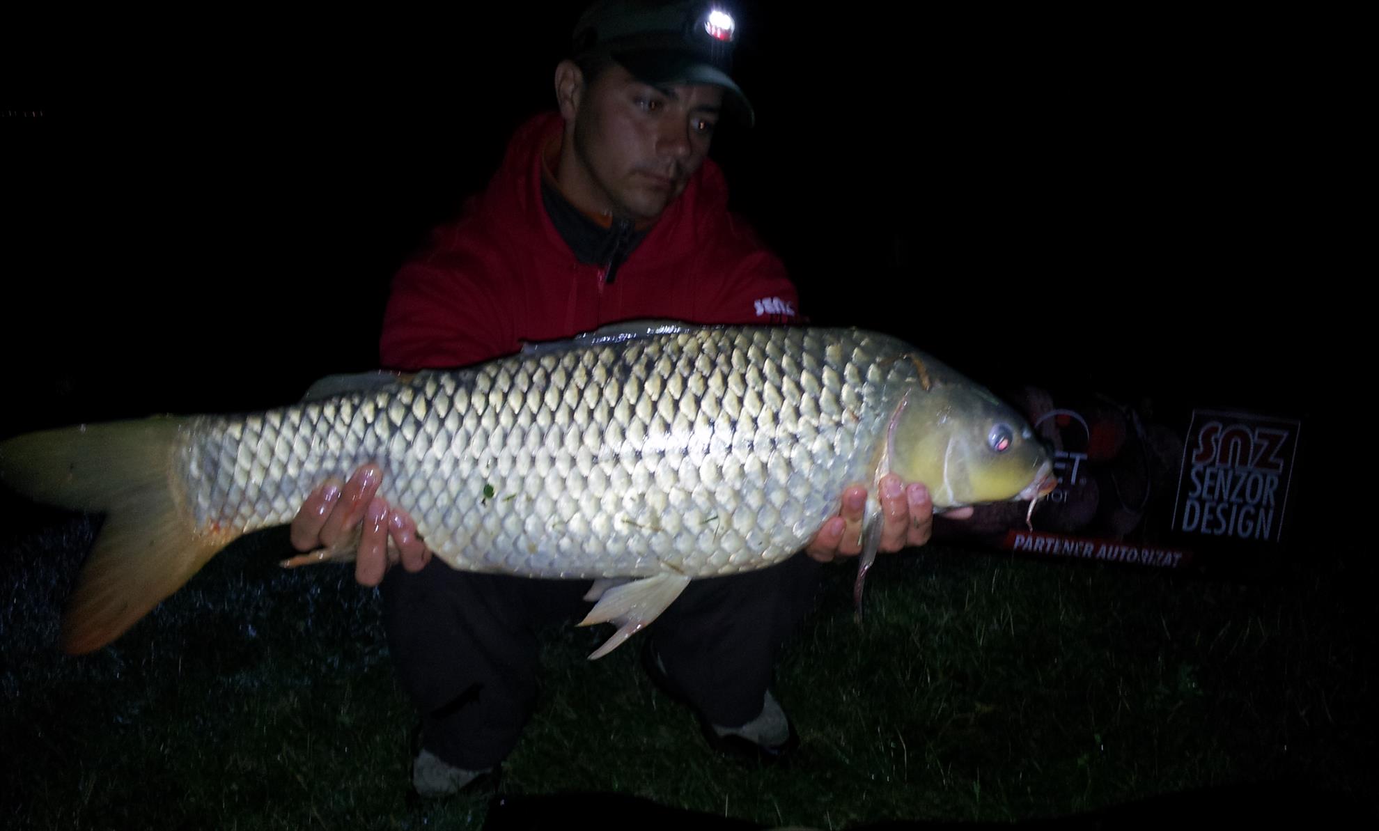 Silver  Ungaria 17 - 18 iul. - 20130718015123.jpg